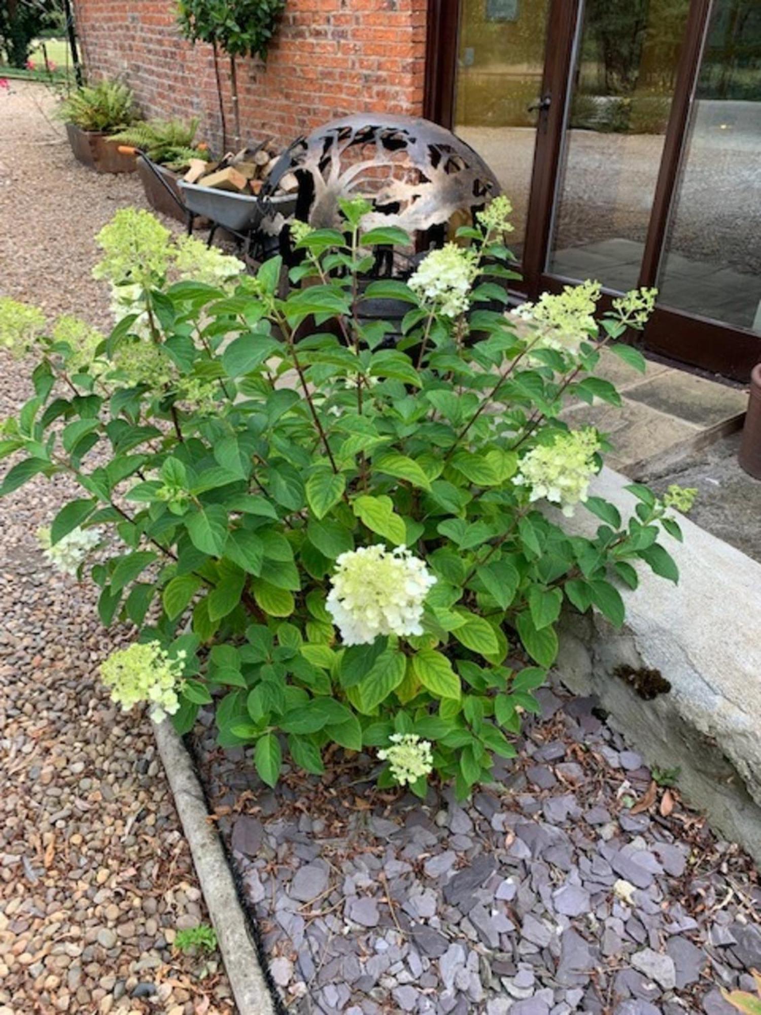 Brickfields Farm Bed & Breakfast Kirkbymoorside Bagian luar foto